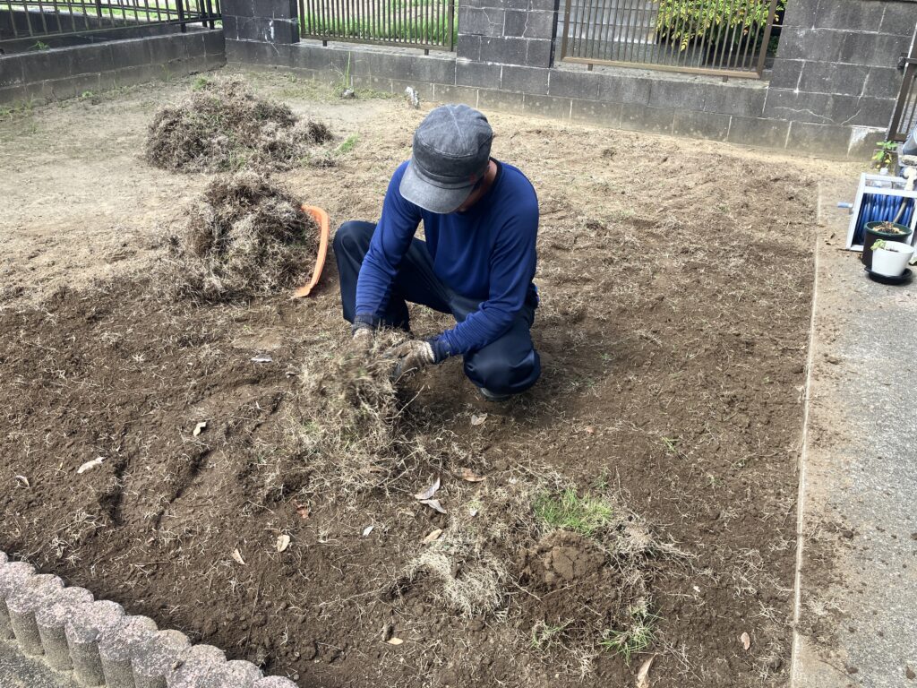 施工中　芝生除去