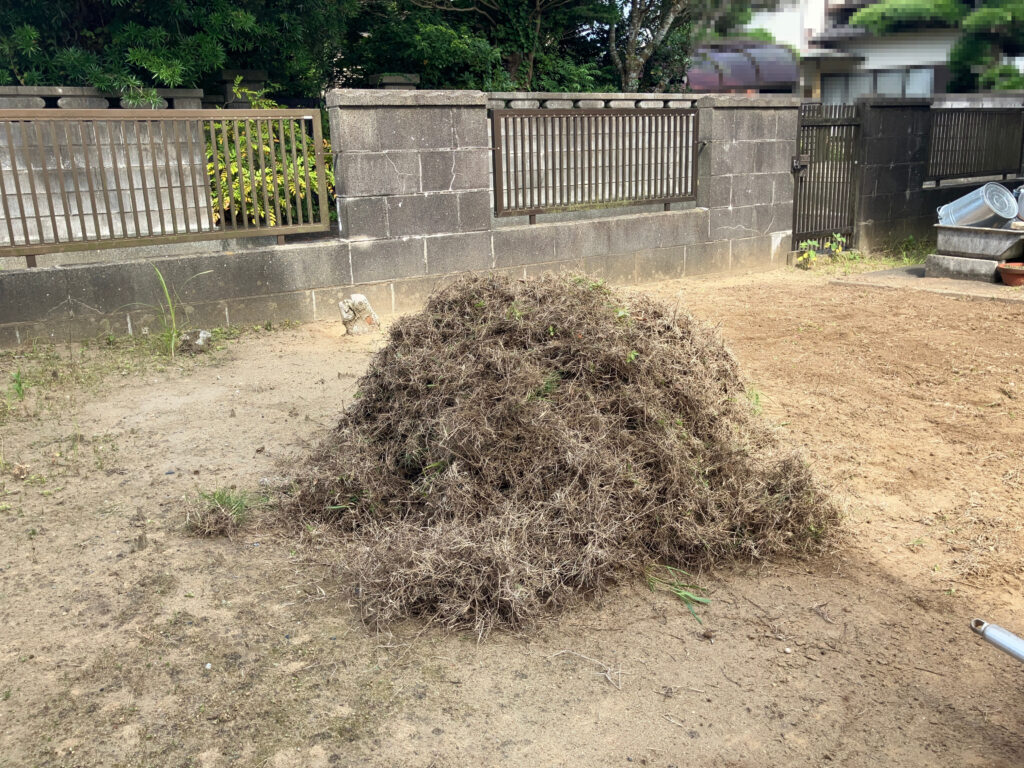 施工中　芝生除去